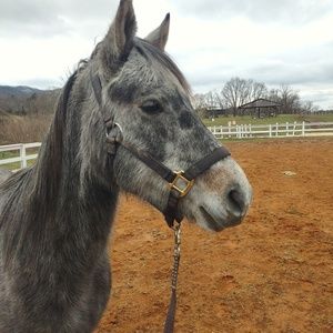 Meet your Posher, Dana